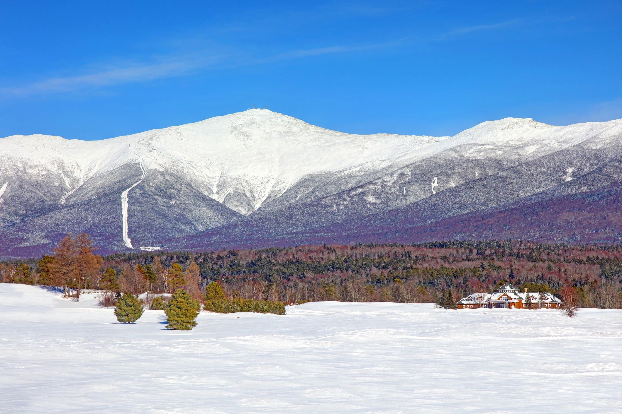 Little Bear Lodge White Mountains
