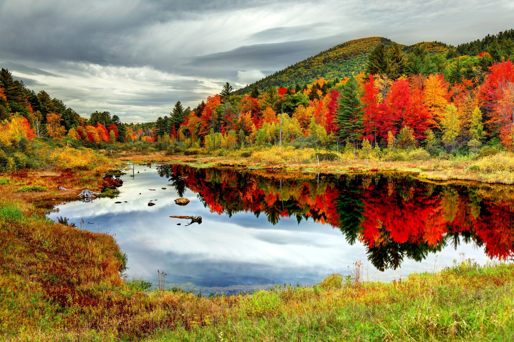 pet friendly New Hampshire
